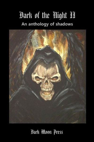 Cover for E R Vernor · Dark of the Night: Anthology of Shadows Two (Paperback Book) (2013)