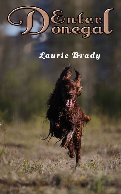 Cover for Laurie Brady · Enter Donegal (Paperback Book) (2021)