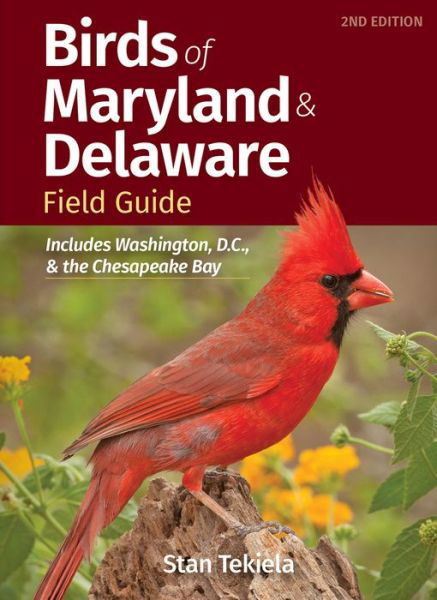 Cover for Stan Tekiela · Birds of Maryland &amp; Delaware Field Guide: Includes Washington, D.C., and Chesapeake Bay - Bird Identification Guides (Pocketbok) [2 Revised edition] (2023)