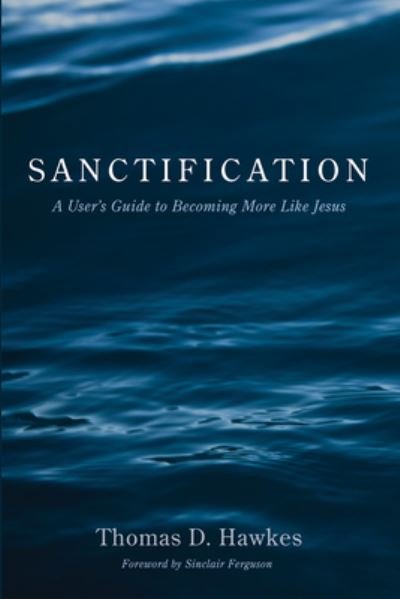 Thomas D Hawkes · Sanctification: A User's Guide to Becoming More Like Jesus (Paperback Bog) (2020)