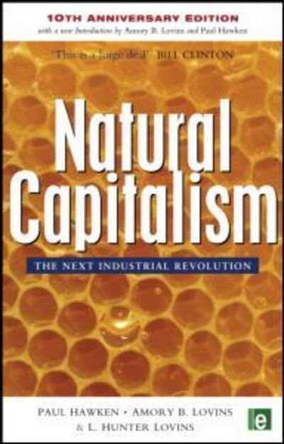 Cover for Paul Hawken · Natural Capitalism: The Next Industrial Revolution (Paperback Bog) (2010)