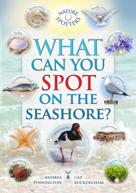 Cover for Caz Buckingham · What Can You Spot on the Seashore? (Pocketbok) (2023)