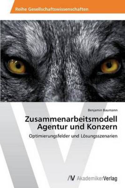 Cover for Benjamin Baumann · Zusammenarbeitsmodell Agentur Und Konzern: Optimierungsfelder Und Lösungsszenarien (Taschenbuch) [German edition] (2013)