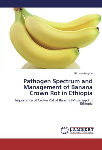 Cover for Girmay Aragaw · Pathogen Spectrum and Management of Banana Crown Rot in Ethiopia: Importance of Crown Rot of Banana (Musa Spp.) in Ethiopia (Taschenbuch) (2012)