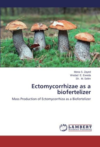 Cover for Sh. M. Selim · Ectomycorrhizae As a Biofertelizer: Mass Production of Ectomycorrhiza As a Biofertelizer (Paperback Book) (2014)