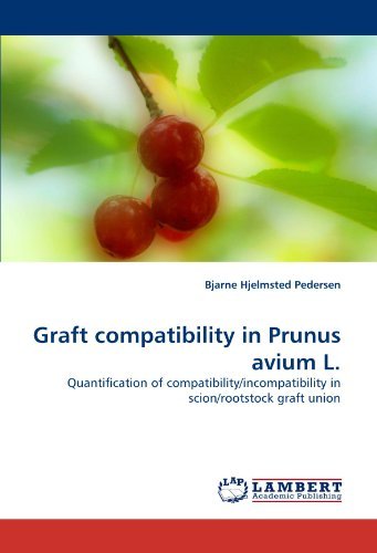 Cover for Bjarne Hjelmsted Pedersen · Graft Compatibility in Prunus Avium L.: Quantification of Compatibility / Incompatibility in Scion / Rootstock Graft Union (Paperback Book) (2010)