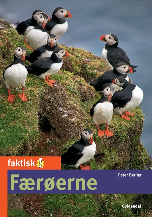 Cover for Peter Bering · Faktisk!: Færøerne (Sewn Spine Book) [1. Painos] (2011)