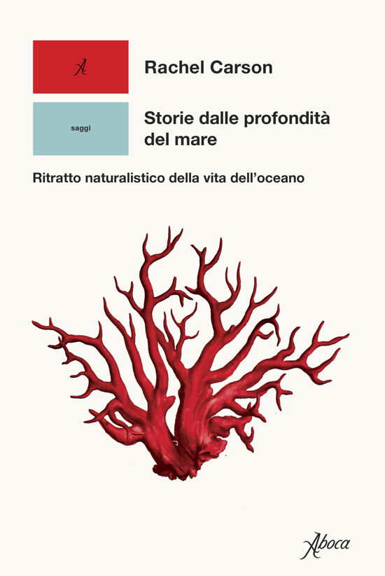 Cover for Rachel Carson · Storie Dalle Profondita Del Mare. Ritratto Naturalistico Della Vita Dell'oceano (Buch)