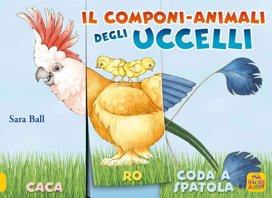 Il Componi-Animali Degli Uccelli. Ediz. A Colori - Sara Ball - Livres -  - 9788865934708 - 