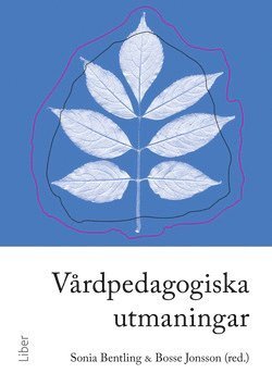 Vårdpedagogiska utmaningar - Bentling Sonia - Libros - Liber AB - 9789147084708 - 12 de enero de 2010