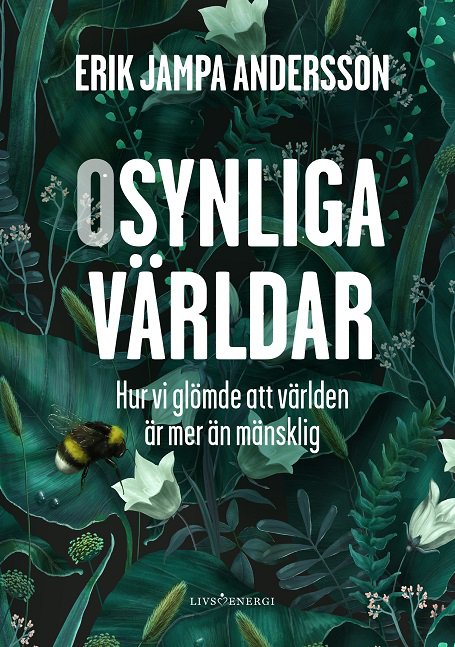 Osynliga världar - Erik Jampa Andersson - Böcker - Livsenergi - 9789189437708 - 20 december 2023
