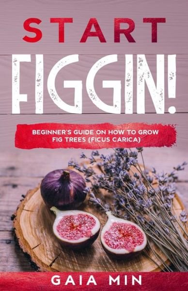 Cover for Gaia Min · Start Figgin! (Paperback Book) (2020)