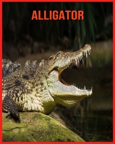 Cover for Linda Davis · Alligator (Paperback Book) (2021)