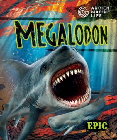 Cover for Kate Moening · Megalodon (Book) (2023)