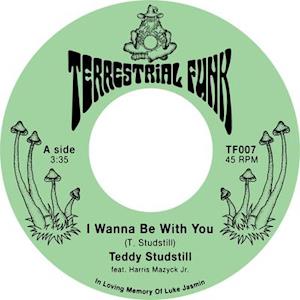 Cover for Teddy Studstill · I Wanna Be With You B/W There Comes A Time (LP) (2021)