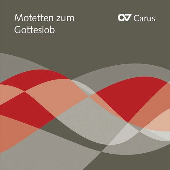 Motetten Zum Gotteslob - Figuralchor Köln / Kölner Dommusik / Limburger Domchor - Musik - CARUS - 4009350021709 - 8 november 2013