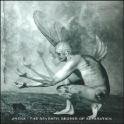 Cover for Arena · The Seventh Degree of Separati (CD) [Japan Import edition] (2014)