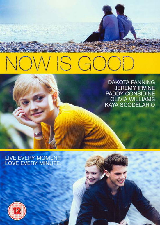 Cover for Now is Good · Now Is Good (DVD) (2013)