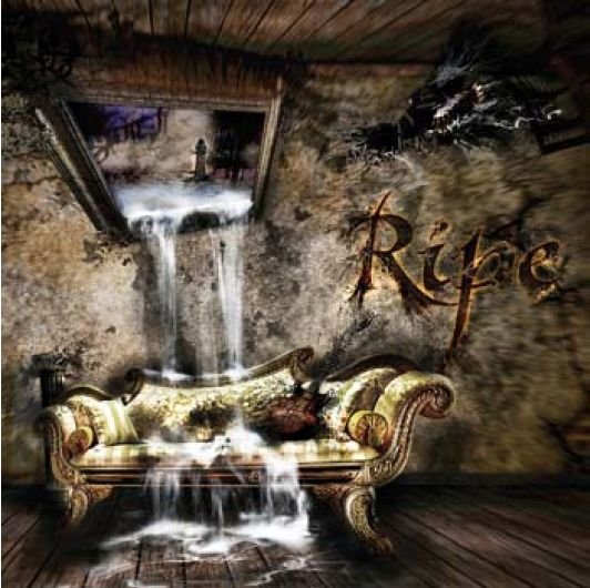 Cover for Ripe · A Moment Forever (CD) (2011)
