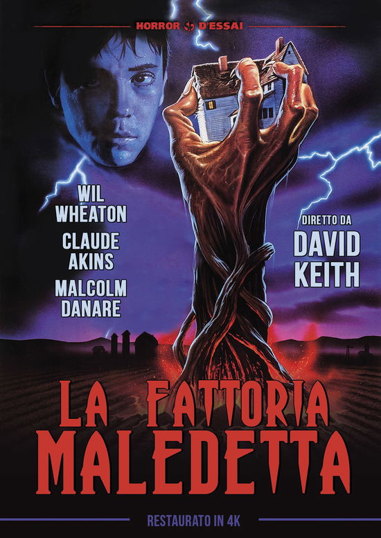 Cover for Fattoria Maledetta (La) (Resta (DVD) (2021)