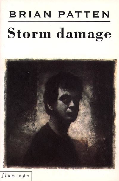 Cover for Brian Patten · Storm Damage (Paperback Book) (1995)