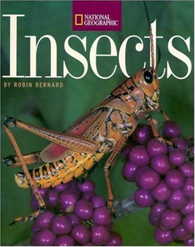 Cover for Robin Bernard · Insects (Paperback Book) [Trade edition] (2001)