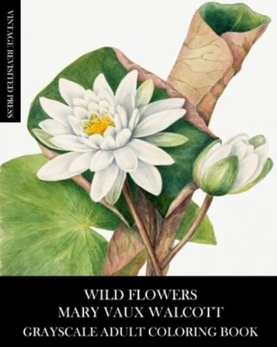 Vintage Revisited Press · Wild Flowers (Paperback Book) (2024)