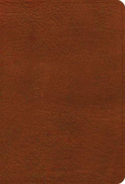 Cover for Holman Bible Publishers · NASB Large Print Compact Reference Bible, Burnt Sienna (Leather Book) (2022)