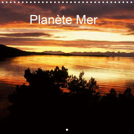 Cover for Leroy · Planète Mer (Calendrier mural 202 (Book)