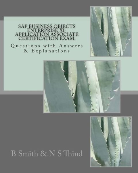 Cover for N S Thind · Sap Business Objects Enterprise Xi- Application Associate Certification Exam: Questions with Answers &amp; Explanations (Paperback Bog) (2011)