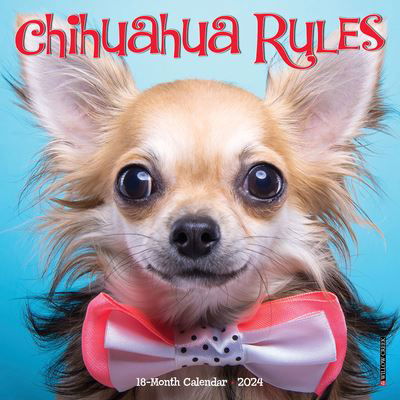 Cover for Willow Creek Press · Chihuahua Rules 2024 7 X 7 Mini Wall Calendar (Calendar) (2023)