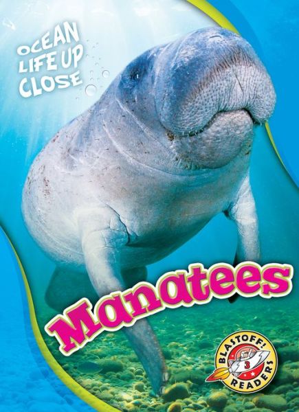 Cover for Rebecca Pettiford · Manatees - Ocean Life Up Close (Hardcover Book) (2020)