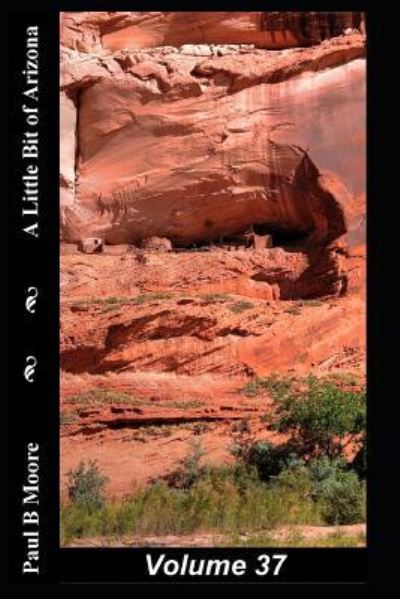 Cover for Paul Moore · A Little Bit of Arizona (Pocketbok) (2018)