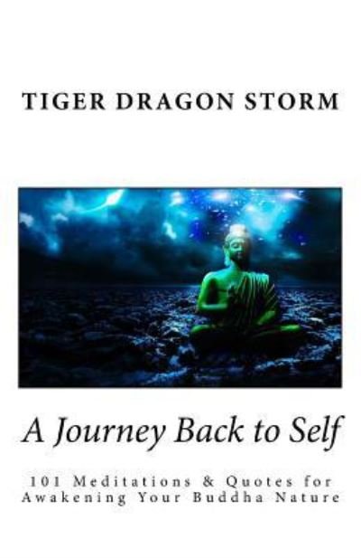 Cover for Tiger Dragon Storm · A Journey Back to Self (Paperback Bog) (2017)