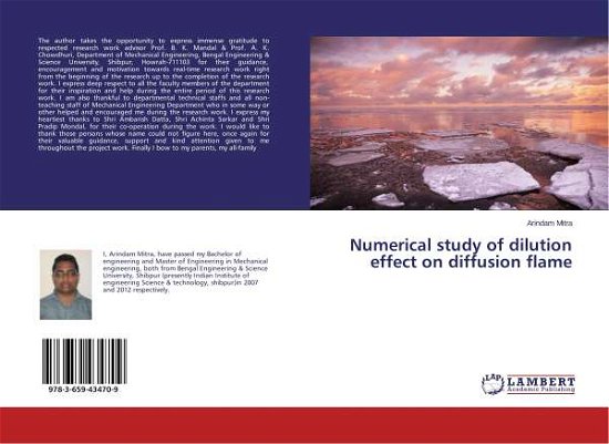 Numerical study of dilution effec - Mitra - Bøger -  - 9783659434709 - 