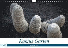 Cover for Krieger · Kaktus Garten Lanzarote (Wandka (Book)
