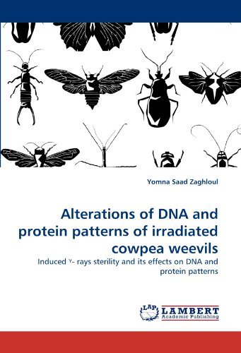 Cover for Yomna Saad Zaghloul · Alterations of Dna and Protein Patterns of Irradiated Cowpea Weevils: Induced - Rays Sterility and Its Effects on Dna and Protein Patterns (Paperback Bog) (2011)