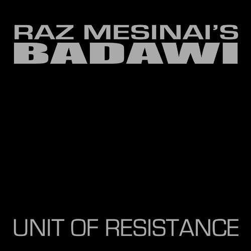 Unit of Resistance - Raz Mesinai - Música - ROIR - 0053436830710 - 1 de septiembre de 2009