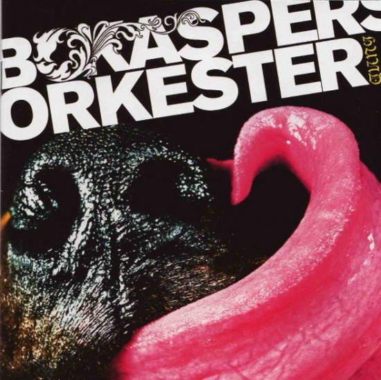 Hund - Bo Kaspers Orkester - Musik - COLUMBIA - 0196587066710 - 7. Oktober 2022