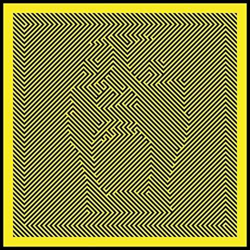 Cover for We Were Promised Jetpacks · Unravelling (LP) (2014)