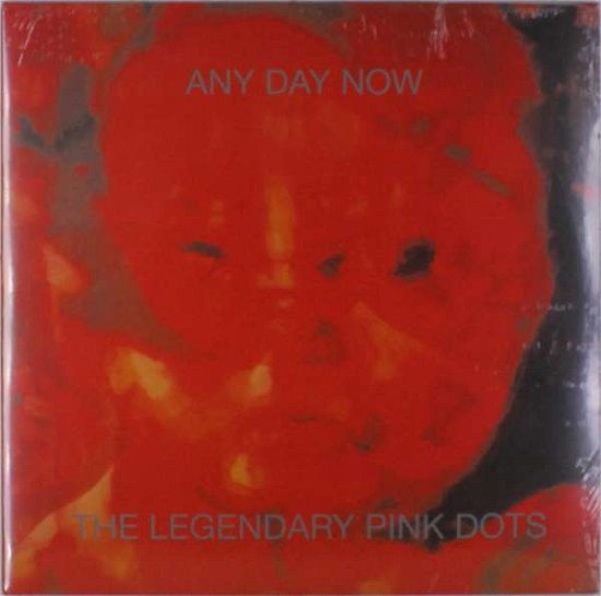 Any Day Now (Expanded and Remastered Edi - Legendary Pink Dots - Musiikki - Metropolis Records - 0782388112710 - perjantai 22. kesäkuuta 2018