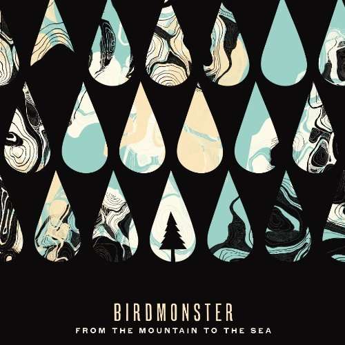 Cover for Birdmonster · From The Mountain To The Sea (LP) (2008)