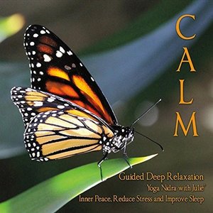Cover for Julie Murphy · Calm - Yoga Nidra with Julie - Guided Relaxation (CD) (2015)