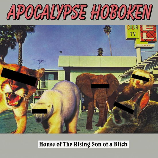 Cover for Apocalypse Hoboken · House Of The Rising Son Of A Bitch (LP) (2024)