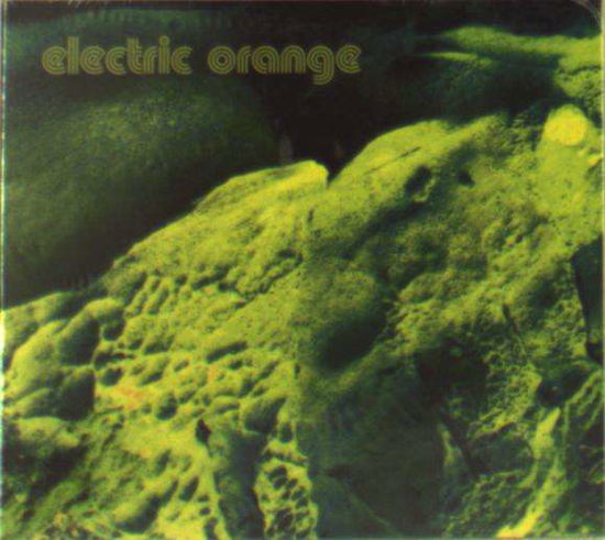 Netto - Electric Orange - Music - STUDIO FLEISCH - 2090504518710 - September 1, 2011