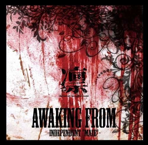 Cover for Rin · Awaking from -independent &quot;Maze&quot;- (CD) [Japan Import edition] (2012)