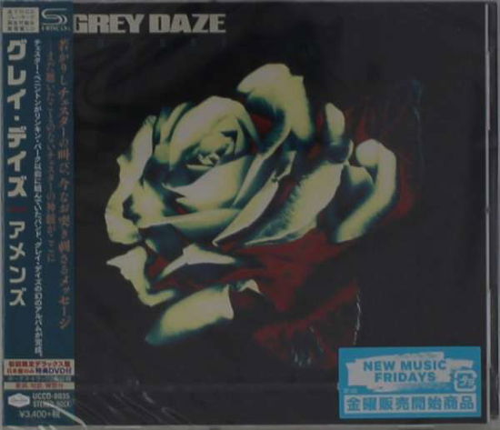 Cover for Grey Daze · Amends (CD) (2020)