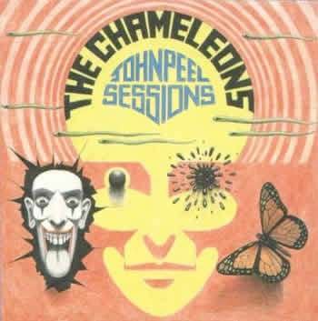 Cover for Chameleons · John Peel Sessions (LP) (2014)