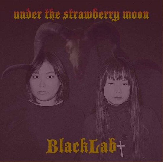 Cover for Blacklab · Under the Strawberry Moon (LP) [Coloured edition] (2018)