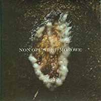 Cover for Non Opus Dei / Morowe · Dziwki Dwie (CD) (2014)